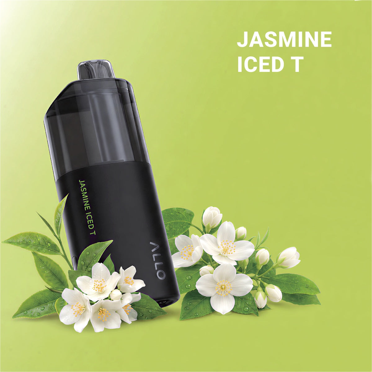 Allo NUUD 200K Jasmine Iced T